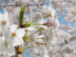 似合うものを身に着けて、あなたにしか表現できない美しさを…